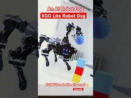 XGO Lite AI Robot @elecfreaks #robotics #robots #ai #raspberrypi #python #electronics #diyrobotics