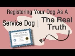 Registering Your Dog As A Service Dog | The Real Truth