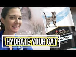 Purina Hydra Care: Help your cat stay Hydrated