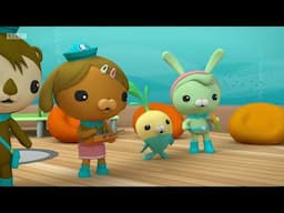 Octonauts, Series 4, Octonauts and the Tiger Shark