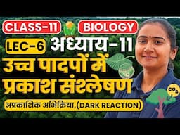 L-6, अप्रकाशिक अभिक्रिया,(Dark reaction), अध्याय-11, उच्च पादपों में प्रकाश संश्लेषण |Class-11 Bio