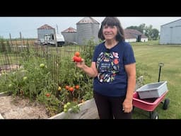 August Walk Around (Complete)/ New Things/ Lots of Produce/ Kim's Homesteading Life