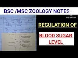 REGULATION OF BLOOD SUGAR LEVEL NOTES||ZOOLOGY NOTES BSC #bsczoologynotes #msczoologynotes #vbu #bhu