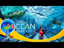 CEBU OCEAN PARK | TOUR OVERVIEW | SEATREK | WHAT TO EXPECT | chicnaomi