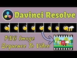 Davinci Resolve PNG Image Sequence to Video