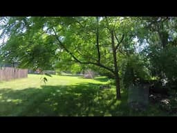 Cruising the backyard with a 4K Tiny Whoop