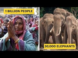 1 Billion People VS 30,000 Elephants: Full Film.