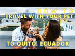 Travel With Your Pet: How To Care for Your Dog While Vacationing Abroad in Quito, Ecuador