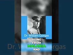 🦟🔥 Amazing Discovery: How Dr. Gorgas Eliminated Mosquitoes & Eradicated Yellow Fever! 💪🏼