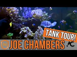 Joe Chambers’ Home Reef Tank Tour!