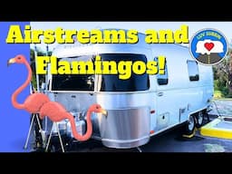 Why Airstreams And Flamingos? The Origins Of The Pink Plastic Flamingo!