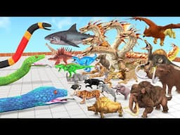 Reptiles Battle - Revolt of Giant Titanoboa vs Wild Animals vs Dinosaurs Animal Revolt Battle Simul