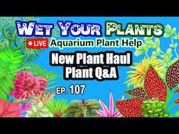 New Plant Haul from the Keystone Clash, Rare Stuff, and Q&A (Wet Your Plants 107)