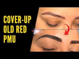 COVER-UP BROW TUTORIAL