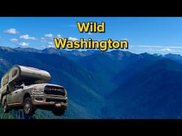 Wild Olympic Peninsula: Hurricane Ridge Drive and Dungeness Camping