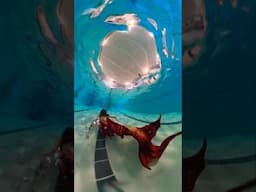 Mermaid #swim #canada #mermaid #underwater #360 #pool #swimming #apnea #mermaidswim #cosplay