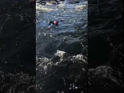 White Water Rescue course at Paddler Co-op #whitewater #rescue