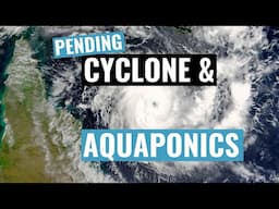 My Home Aquaponics Garden Survives another Cyclone Season & Heavy Rain !🌀🌱🌀