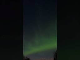 Northern Lights over our Alaskan Cabin!💚 #HomeFreeAlaska #Shorts #NorthernLights