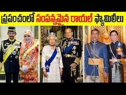 ఈ 10 మంది రాజులు కావాలంటే ఏదైనా కొనగలరు  | Top 10 Royal Families of The World