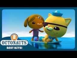 @Octonauts - 🏄‍♀️ Surfer Dashi to the Rescue 🛟 | Season 4 | Best Bits!