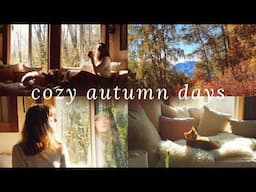 Cozy Autumn Days 🍂 autumn in the mountains & a cozy day reading & baking at home (meet my new kitty)