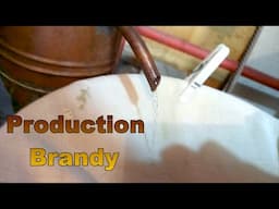 Preparation and production of Serbian brandy