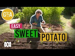 Bumper Crop to Plant NOW | Growing Fruit and Vegies | Gardening Australia