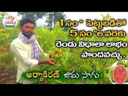 జామ సాగు #ArkaKiran Guava Cultivation Famer || Guava Cultivation ||#SudheerReddy #RythuMitra