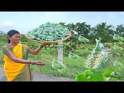 Village Prawn Curry Recipe | Veali Paruthi Poriyal Cooking in Village | Side Dish Recipes