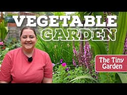 Harvesting & Small life update | The Tiny Garden