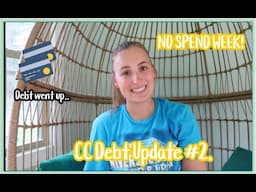 CC Debt Update #2! | emergency fund, debt going back UP, Two week NO SPEND!