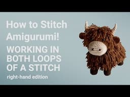 Working in Both Loops of a Stitch: Right-Hand Edition