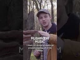 Mushroom music 🍄‍🟫 🫠 #mushroom #foraging #naturesounds