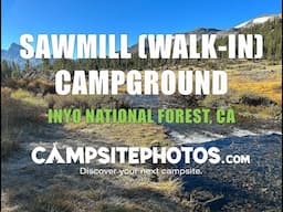 Sawmill (Walk-In) Campground, Inyo National Forest, CA