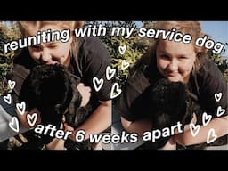 REUNITING WITH MY SERVICE DOG! :) || after six weeks apart