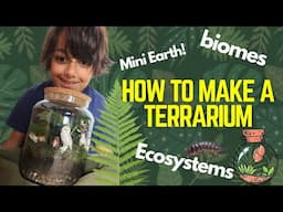 Leo's Animal Planet - How to make a Terrarium