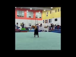 Brianna Robinson GYMNAST Reel