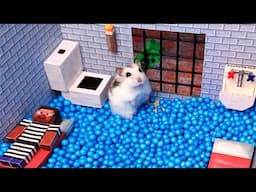 Hamster Escapes The Awesome Minecraft Maze With Obstacle Course