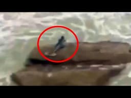 Top 10 Scary Mermaid Sightings That Shocked The World