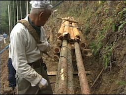 Master Craftsman Nagasawa Preserving Cultivation Techniques with Hand Tools in Modern Woodworking