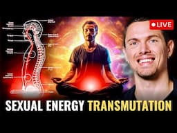 Sex Transmutation: The Complete Guide (Guided Practices + Q&A)