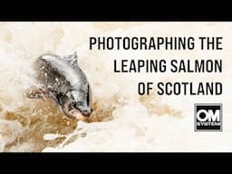 Photographing Salmon in Scotland