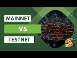 Mainnet Vs  Testnet Environments Explained