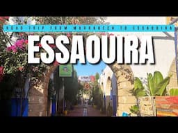 Road Trip from Marrakech to Essaouira | Exploring an Argan Oil Cooperative, Winery, & Moroccan Coast