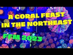 A CORAL FEAST IN THE NORTHEAST (New England Frag Farmers Market 2023)