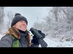 A snowy morning bird walk 🐦❄️ - nature vlog