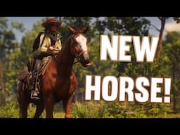 FIRST HORSE! | RDR2 Realistic Roleplay *The Rift*