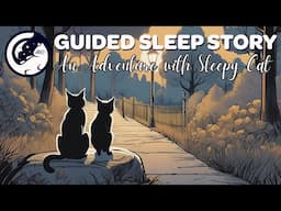 Your Adventure with The Sleepy Cat (Bedtime Story for Grownups)