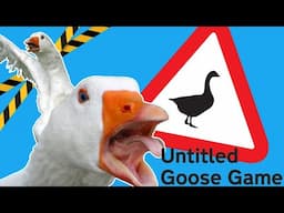 當你遇到兩隻調皮的鵝┃Untitled Goose Game┃Jhin